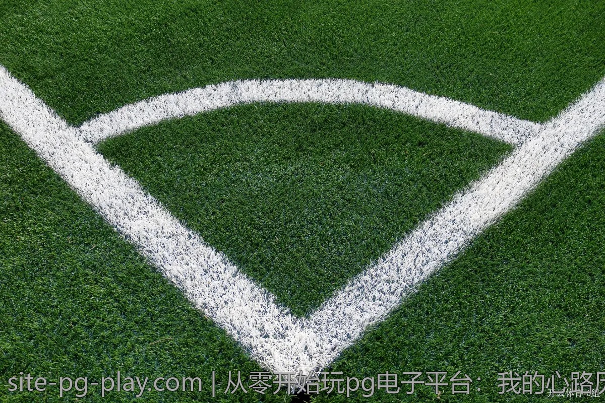 从零开始玩pg电子平台：我的心路历程和实战经验